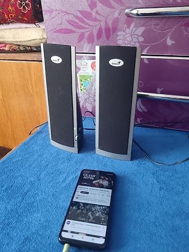 Колонки для ПК и ноутбуков: Колонки Genius 2.0 для компьютера/ноутбука/телефона - Формат — 2