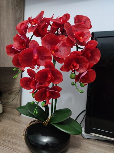 Декоративные цветы: Орхидея искусственная для декора в керамическом горшке Орхидея — 25