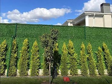 kələm gülü: 🌿 Yaşıl Hasar – Təbii Görünüş, Uzunömürlü Keyfiyyət! 🌿 🏗 Paslanmaz — 3