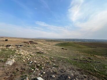 Torpaq sahələrinin satışı: Kənd təsərrüfatı — 16