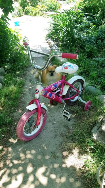 детские велосипеды в баку: Б/у Двухколесные Детский велосипед 12", скоростей: 1, Самовывоз, Платная доставка