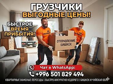Грузчик. С опытом at lalafo.kg Грузчик. С опытом