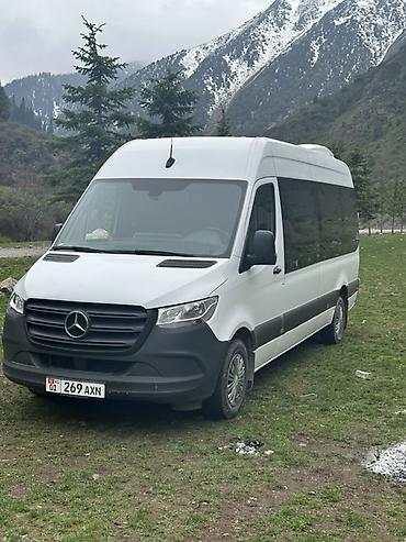 w210 e320: Пункт назначения: Все направления, Количество мест: 17, Лицензия №: Есть — 2