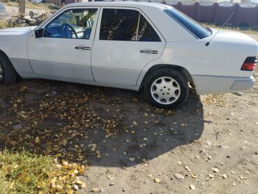 кенгурятник дуга защита бампера на джип: Mercedes-Benz W124: 1990 г., 2.3 л, Бензин, Седан