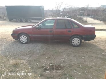 опель машина: Opel Vectra: 1991 г., 1.8 л, Механика, Бензин, Седан