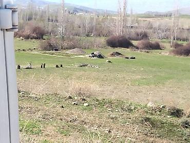 Torpaq sahələrinin satışı: Tikinti — 1