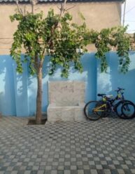 Uzunmüddətli kirayə mənzillər: Tecili Zabrat 1 Qayinin arxasinda Ateis yolunda 3 otaqli temirli heyet — 17