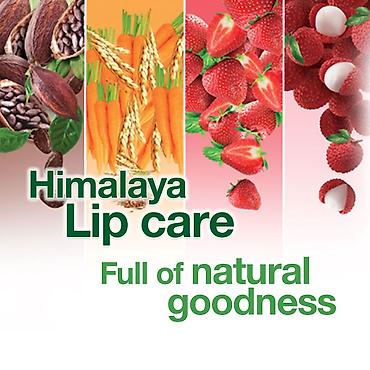 kosmetika səbəti: №: 3873 Məhsulun adı: Dodaq balzamı Himalaya Berry Shine, 4.5 q Brend — 1