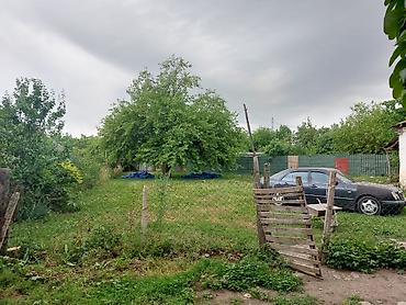 Torpaq sahələrinin satışı: 55 sot — 1