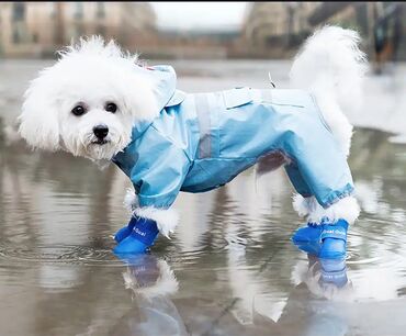обувь для собак: Силиконовые резиновые сапоги для домашних животных, износостойкая
