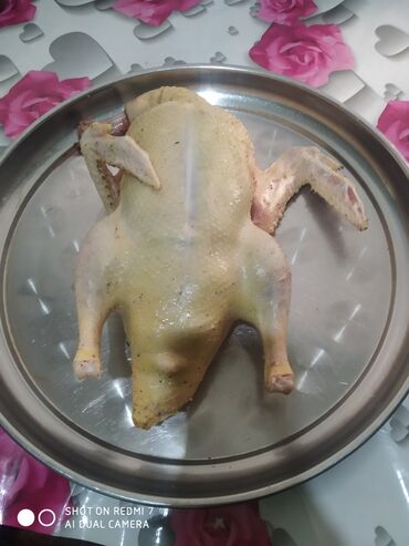 İçkilər: Təmizlənmiş lal ordey colpa satırsınız var ünvan sirvan