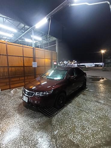 moto kg: Kia Cerato: 2010 г., 1.6 л, Механика, Бензин, Седан — 2