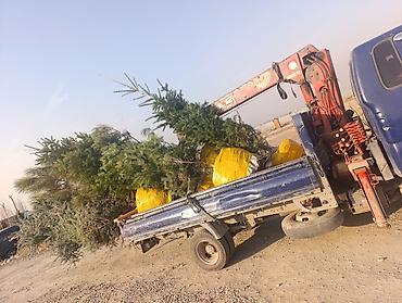 Услуги манипулятора: Стрела 8 м, 2000 т, Борт 4000 кг — 3