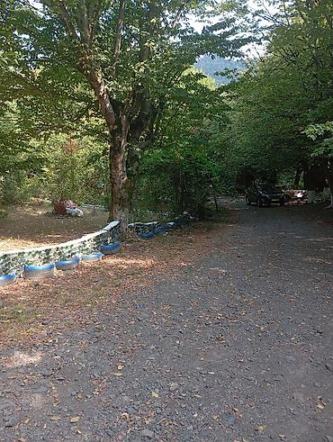 Günlük kirayə evlər: Masalli rayonu. İsti su istirahet merkezine yaxin. Turan restoranina — 27