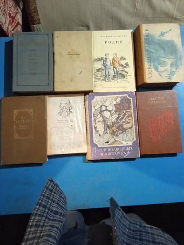 Другие книги и журналы: Книги — 7