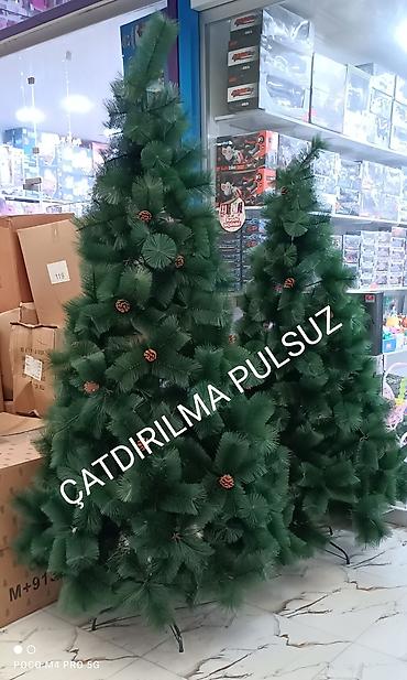 ev agaclari: Sifarisle eve getiririk Çatdırılma pulsuz whatsapp aktivdir 🌲🌲🌲90sm — 1