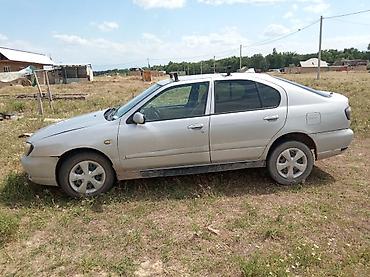 argb controller: Nissan Primera: 2000 г., 1.8 л, Механика, Седан — 4