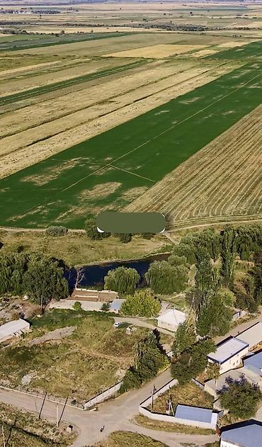 Продажа сельхоз предприятий: Ферма КРС, 17 соток, Частично с оборудованием, Электричество, Скважина, Холодная вода — 7