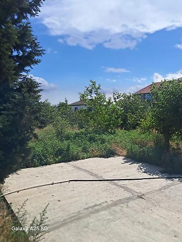isti hovuzlu evler: 7 otaqlı, 280 kv. m, Kredit yoxdur, Təmirsiz — 6