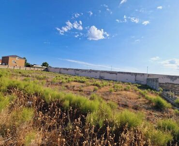 Torpaq sahələrinin satışı: 36 sot, Tikinti, Makler, Kupça (Çıxarış) — 3