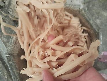 Средства для стирки: Мыльные стружки оптом. Есть разные цвета и виды мыльной стружки at lalafo.kg — 3 Средства для стирки: Мыльные стружки оптом. Есть разные цвета и виды мыльной стружки — 3