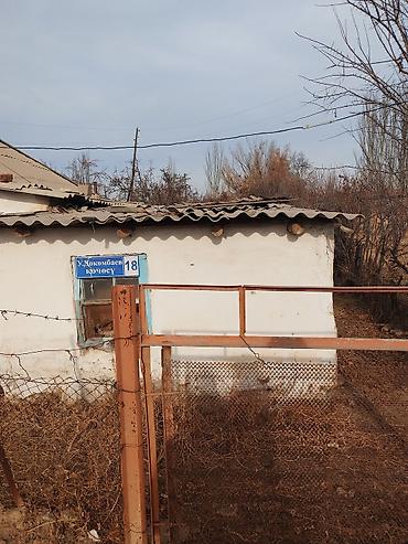 сливы казанская пантера: Продаю дом под бизнес, магазин,гостевой дом итд 1-линия.участок — 4