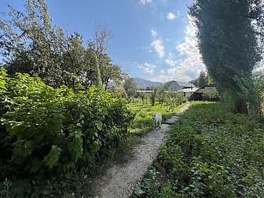 Продажа коттеджей и домов: Продаётся дом с огромным участком (35 сот) с. Прохладное возле — 9