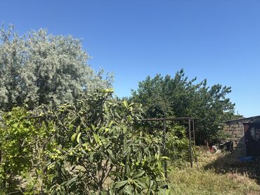 Torpaq sahələrinin satışı: 3 sot, Tikinti, Mülkiyyətçi, Kupça (Çıxarış)