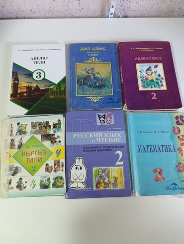 кыргыз тили 1: Русская литература, 2 класс