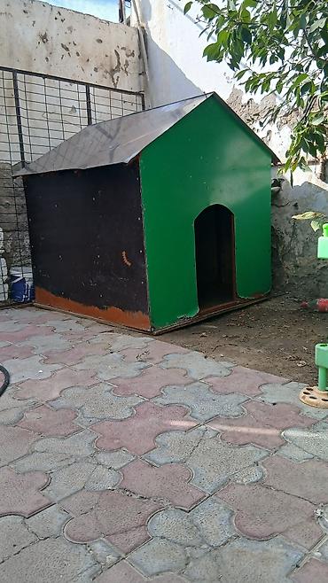 it səkilləri: Böyük ölçülü it evi - Material: möhkəm taxta karkas, üstü — 4