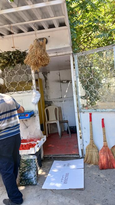 sederek çılçıraq mağazaları: Arenda