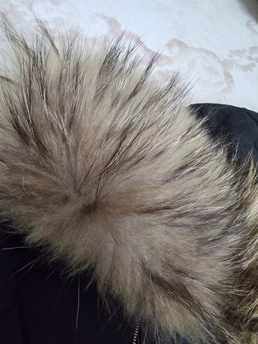 kožne jakne s krznom: M (EU 38), With lining, Fur