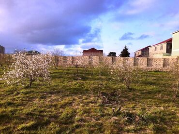 buzovnada satilan torpaqlar: 25 sot, Tikinti, Kupça (Çıxarış)