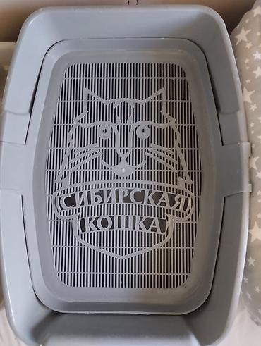 Зоотовары: 1000 сом - за всё (!) Набор для кошки/котёнка — всё необходимое сразу — 2