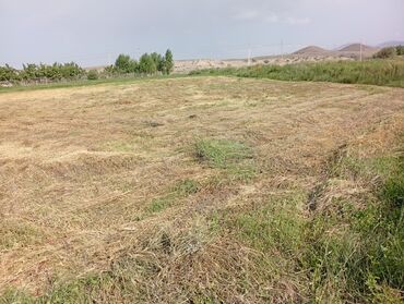 поля поливной: 39 соток, Для сельского хозяйства, Красная книга
