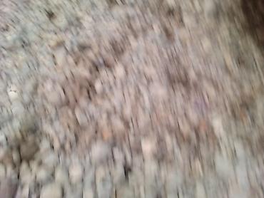 Двигатели, моторы и ГБЦ: Бензиновый мотор Toyota 3.4 л at lalafo.kg — 9 Двигатели, моторы и ГБЦ: Бензиновый мотор Toyota 3.4 л — 9