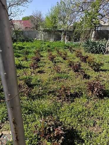 Продажа домов: Дом, 1441 м², 12 комнат, Собственник at lalafo.kg — 37 Продажа домов: Дом, 1441 м², 12 комнат, Собственник — 37