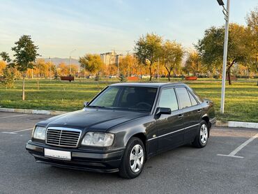 Mercedes-Benz: Mercedes-Benz W124: 1993 г., 2.2 л, Механика, Бензин