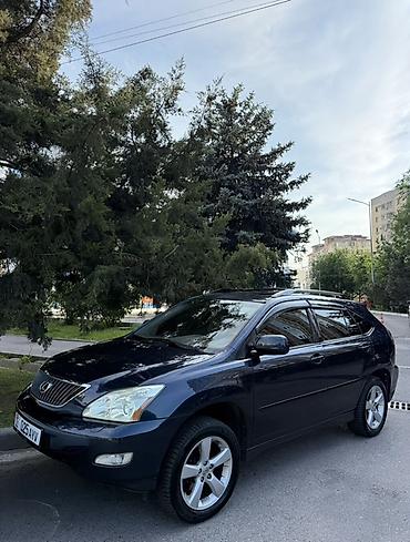 Lexus: Lexus RX: 2006 г., 3.3 л — 1