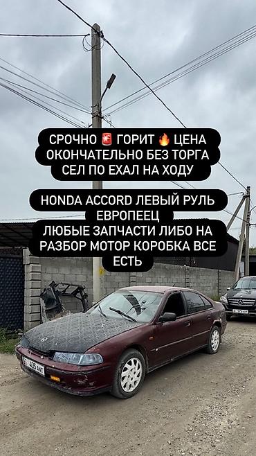 Бампер и комплектующие: Бампер Honda — 6