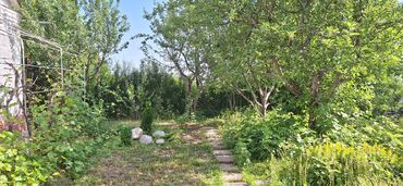 Продажа домов: Дача, 600 м², 4 комнаты, Собственник, Косметический ремонт