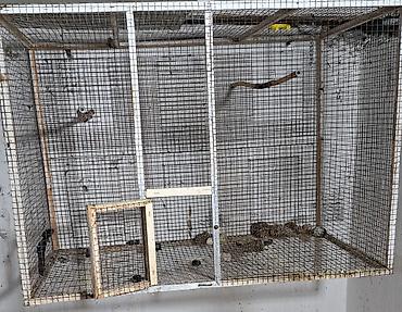 Qəfəslər: Quş qəfəsləri və volyerlər dəsti - Böyük metal volyer: möhkəm məftil — 1