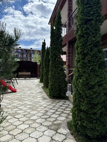 Продажа квартир: 1 комната, 23 м², Индивидуалка, Косметический ремонт — 6