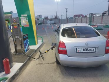 Nissan: Nissan Primera: 2002 г., 1.8 л, Механика, Газ, Седан — 14