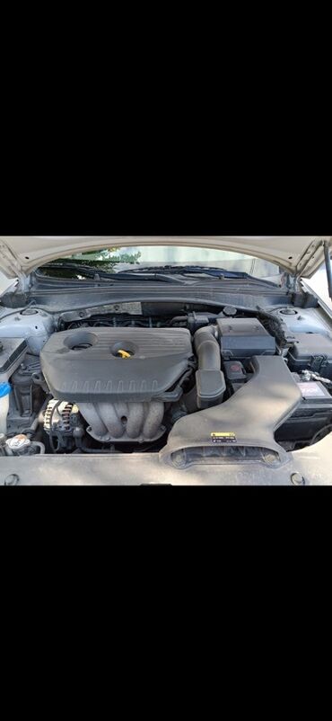 Kia: Kia Optima: 2018 г., 2 л, Автомат, Газ, Седан — 9