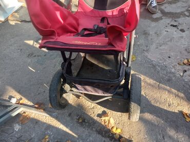 Baklar və çənlər: Bak, Plastik, 250 l l, Yeni, Ünvandan götürmə -da lalafo.az — 16 Baklar və çənlər: Bak, Plastik, 250 l l, Yeni, Ünvandan götürmə — 16