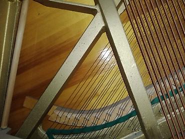Musiqi alətləri: Piano, Weinbach, Akustik, Yeni — 3