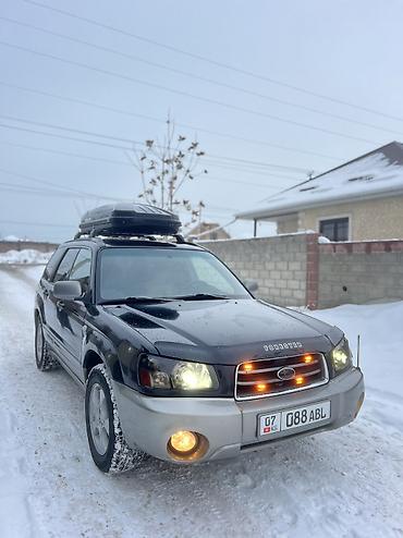 Subaru: Subaru Forester: 2004 г., 2.5 л, Типтроник, Газ, Внедорожник — 10
