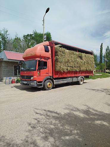 коробки упаковочные: Грузоперевозки тентованным грузовиком Mercedes-Benz Atego - Тип — 1