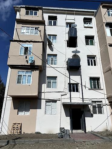 Mənzil alıram: 2 otaqlı mənzil her bir şəraiti var tam təmirli. yasemen qız — 6